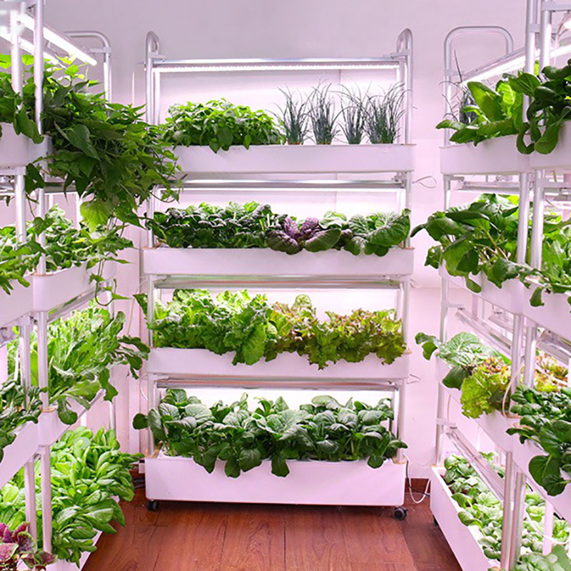 Smart Garden Vertical Planter - Tour de culture hydroponique verticale intelligente