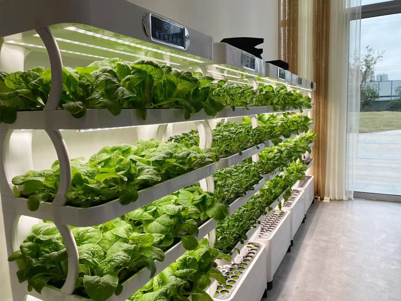 Et serre verticale système hyd - Smart Garden Vertical Planter avis et prix
