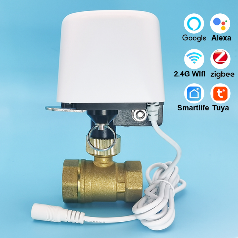 Vanne d'eau intelligente Tuya  - Smart Garden Water avis et prix