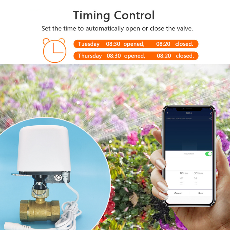 Vanne d'eau intelligente Tuya  - Smart Garden Water avis et prix