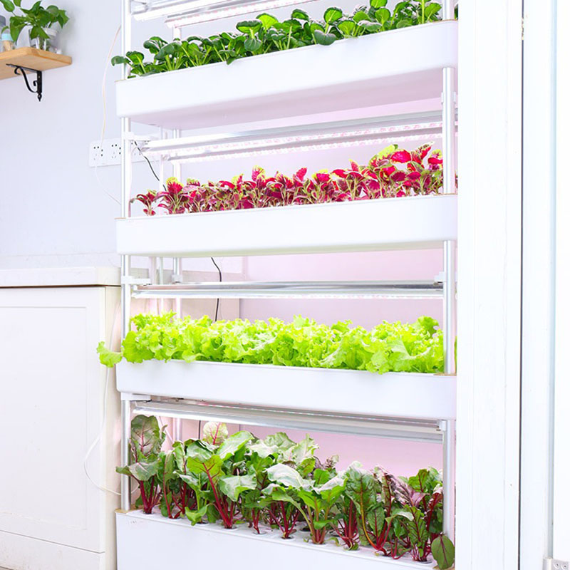 Tour de culture hydroponique v - Smart Garden Vertical Planter avis et prix