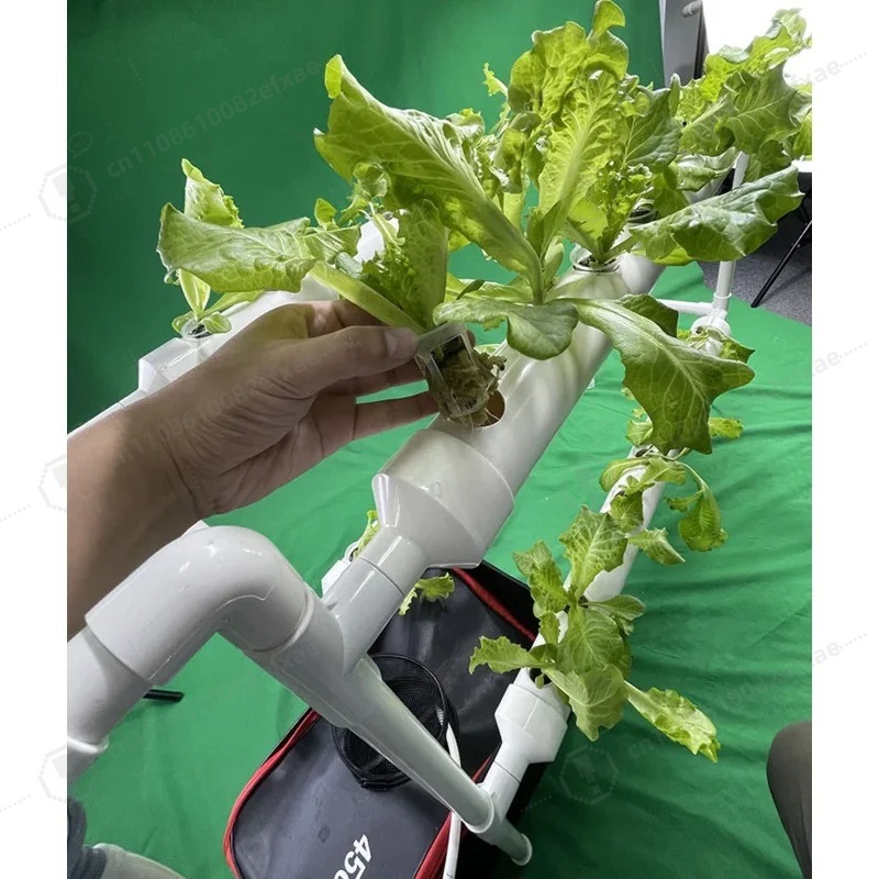 Système hydroponique NFT Chann - Smart Garden Hanging Baskets avis et prix