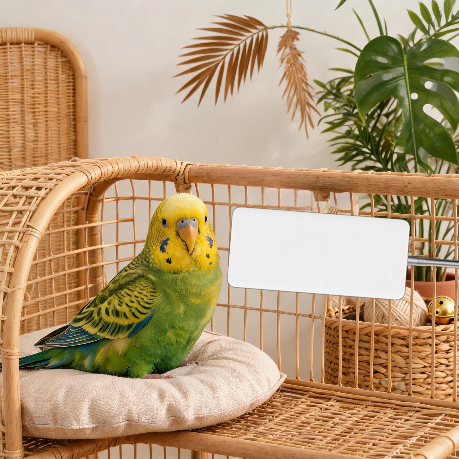 Chauffe-oiseaux 5V sûr pour an - Smart Garden Bird Bath avis et prix